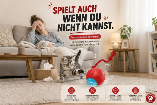 Warum jagen Katzen bewegte Objekte?