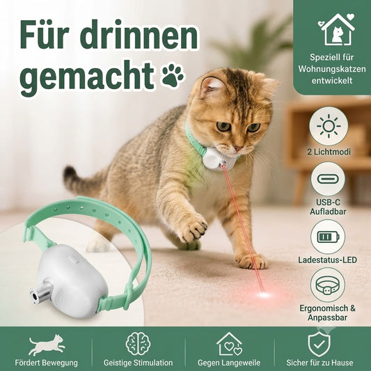 Wohnungskatze trägt ein grünes intelligentes Laser-Halsband und spielt mit einem roten Laserpunkt in einem gemütlichen Wohnraum. Das Produkt ist speziell für Wohnungskatzen entwickelt und fördert Bewegung sowie den natürlichen Jagdtrieb. Im Bild hervorgehoben sind die Funktionen: 2 Lichtmodi, USB-C aufladbar, Ladestatus-LED sowie ergonomisches und anpassbares Design. Das grüne Halsband wird zusätzlich als Produktdetail gezeigt.